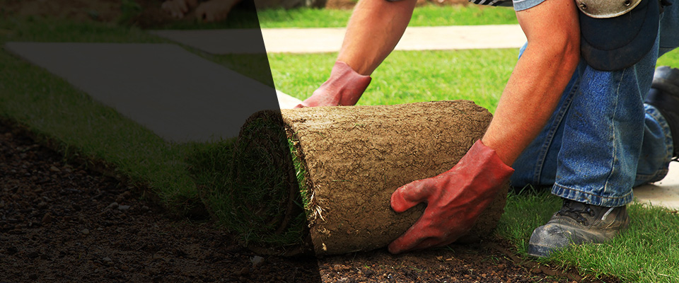 Carver Landscapers